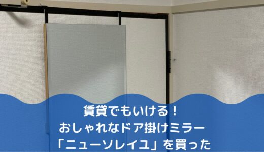 【省スペース】ニトリの全身鏡「ニューソレイユ」レビュー：1人暮らしに最適なドア掛けミラーでQOL向上