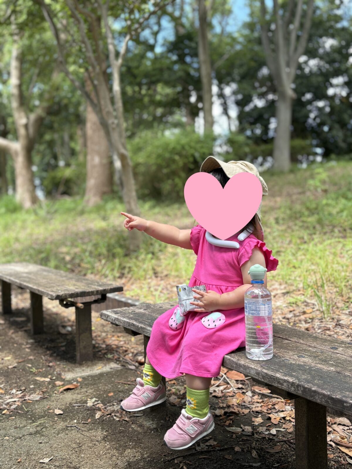 等々力緑地の森でお散歩中。